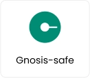 gnosisSafe